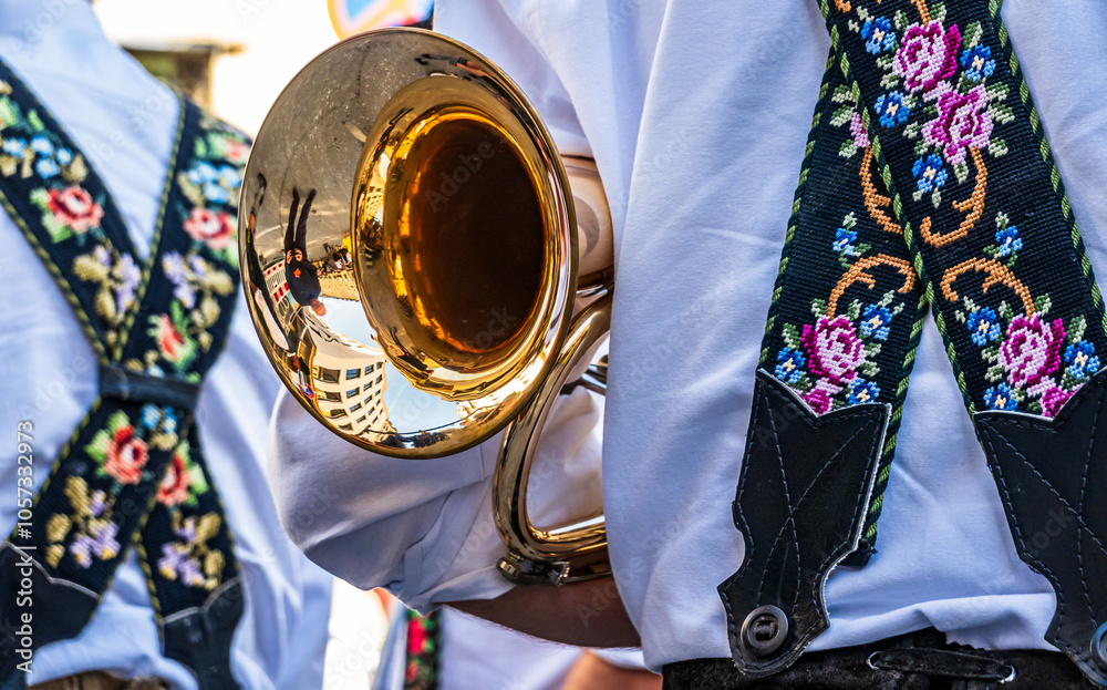 Wall mural typical music instrument of a bavarian brass band