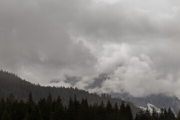 vista dettagliata di un ambiente di montagna nel Veneto Settentrionale, buio e coperto dalle nuvole, in autunno