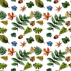 Seamess pattern. Leaves of maple, oak, fern, birch, linden, aspen. Watercolor set of autumn leaves. Botany. Hand drawn. Elegant sprigs for greeting cards and invitations