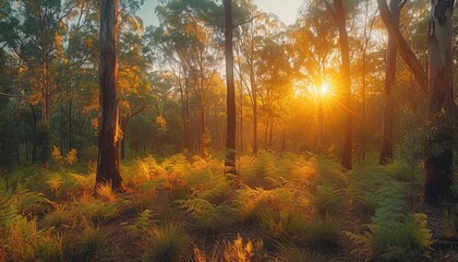 Fototapeta premium Sunbeams Filtering Through Dense Forest Canopy at Golden Hour