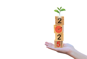 Wooden block in hand and tree symbol, goal progress and growth concept year 2025. Business concept for successful growth process. PNG