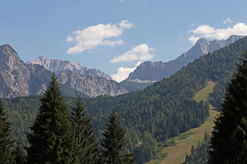 vista dettagliata di un ambiente di montagna con grandi foreste che si estendono sui pendii ed alte catene montuose rocciose nel nord Italia, di giorno, sotto un cielo azzurro