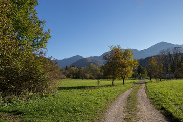 panoramica su un ambiente naturale ricco di alberi verdi, tra le montagne nel Friuli Venezia Giulia settentrionale, di giorno, con colori brillanti, illuminato dal sole, sotto un cielo sereno