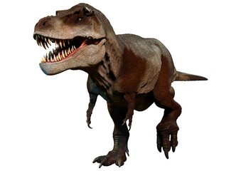 3D Rendering Tyrannosaurus Mcraeensis on White