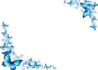 blue flowers и Butterflies frame