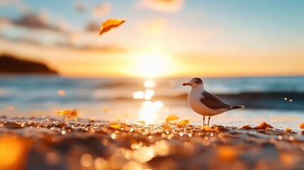 A seagull stands on a sandy shore as the sun sets, casting warm hues and glimmering light on fallen leaves that are gently scattered across the beach.