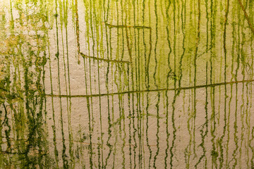 dettaglio in primo piano di un muro di colore chiaro sporcato da tante colate di un liquido verde 