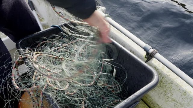 A man hoists an empty crab net into a black container in the boat, filling it gradually, handheld shot with sea in background