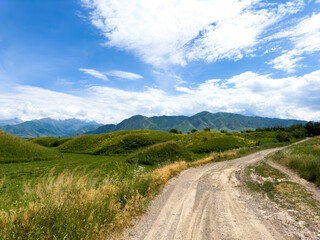 Spring landscape with wildflowers and a dirt road leading through a blooming field under a blue sky in the foothills of Kyrgyzstan.