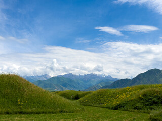Green hilly landscape with scenic mountains in the background under a clear blue sky in the foothills of Kyrgyzstan.