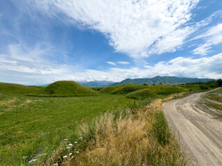 Spring landscape with wildflowers and a dirt road leading through a blooming field under a blue sky in the foothills of Kyrgyzstan.