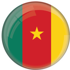 Cameroon flag with glossy rounded button for football team and national emblem