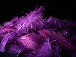 Obraz premium Close-Up of Purple Feathers in Night Photography for Stunning Dark Background Imagery