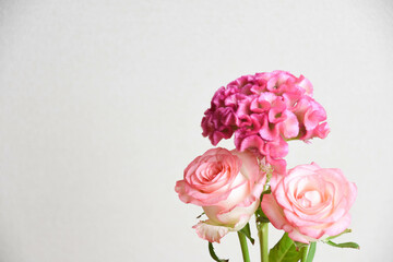 薔薇とケイトウ
