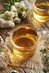 Herbal tea in glass cups with fresh blooming yarrow or Achillea millefolium plant © Madeleine Steinbach