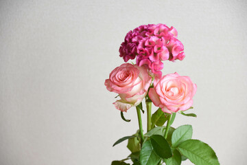 薔薇とケイトウ