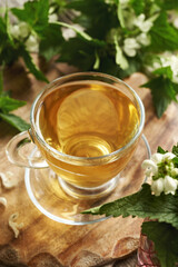 A cup of herbal tea with fresh white dead-nettle flowers and leaves