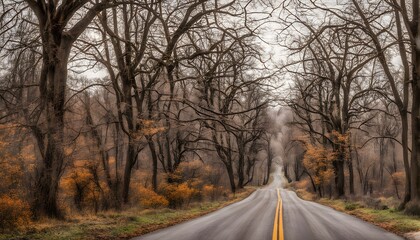Fototapeta premium A country road bordered by trees in different stages fall leaves bare winter branches, AI Generated