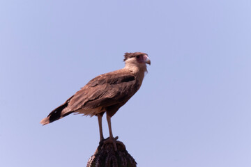 Baja California Sur Mexico