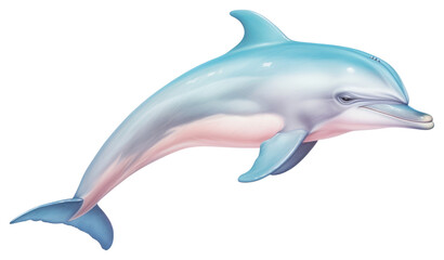 PNG Dolphine animal mammal fish.