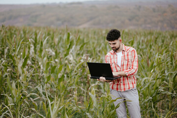 Man Using Laptop in Cornfield