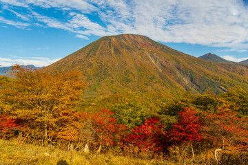奥日光と徹キングコースから紅葉の男体山