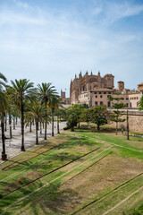 Fototapeta premium Cathedral of Santa Maria of Palma, La Seu wide angle shot with park in front, vertical shot, Palma de Mallorca, Spain