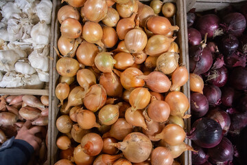 Garlic, yellow onion, shallots and red onions in boxes at food market with hand grabbing a shallot