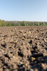 Fototapeta premium fertile soil in spring during the preparation for sowing