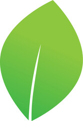 green leaf icon