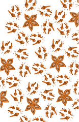 Pattern of star anise and clove spices