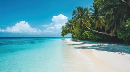 A pristine beach with turquoise water and palm trees
