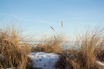 Fototapeta premium The sea in Sweden taken from the beach during winter with beach grass in the foreground and snow