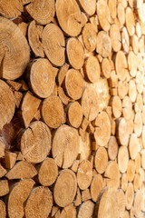 Wooden beams in cross section Round ring. Tree firewood cut. Wood background. Soft selective focus