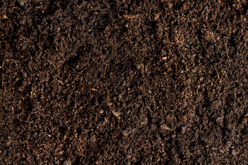 mixed soil with the addition of peat to increase fertility