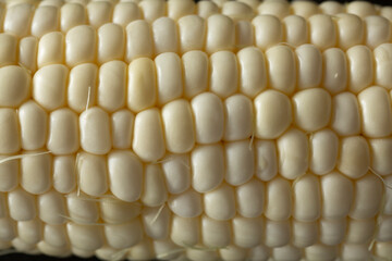 A closeup view of an ear of white corn, as a background.