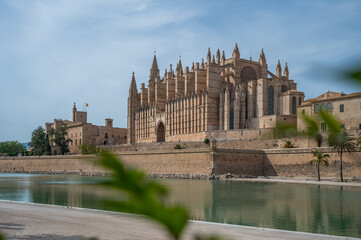 Obraz premium Cathedral of Santa Maria of Palma, La Seu, with lake and leaves in front. Palma de Mallorca, Spain
