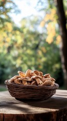Freshly harvested wild mushrooms in rustic woven basket on wooden stump, surrounded by lush forest greenery in soft autumn light.