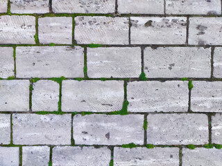 Textured gray stone pavement with green moss in an outdoor urban setting during daylight