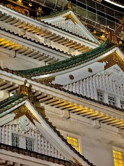 view of the Osaka city