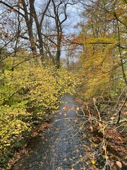 Der Kurpark in Heilbad Heilgenstadt im Eichsfeld mit dem Völkerschlachtdenkmal und bunten Laub im Hernst