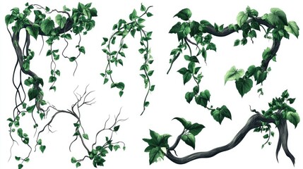 Fototapeta premium Isolated vector illustration collection of wild lianas and branches adorned with leaves from rainforest vines and jungle climbers