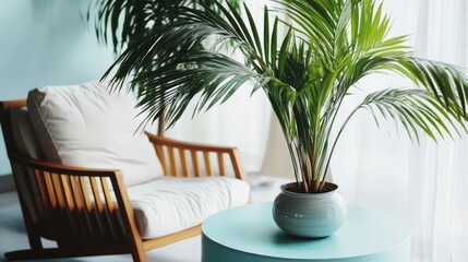 Fototapeta premium Interior photo of living room with palm trees placed on a round table along with rocking chairs and comfortable sofas to create a relaxing atmosphere.