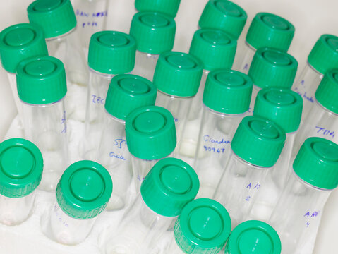 Sample Jars