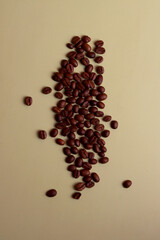 coffee beans espresso aroma caffeine cafe roast cappucino beverage barista service ingredient latte