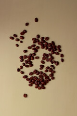 coffee beans espresso aroma caffeine cafe roast cappucino beverage barista service ingredient latte