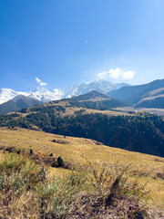 Golden autumn slopes and snow-capped mountains against a clear blue sky in Kyrgyzstan.