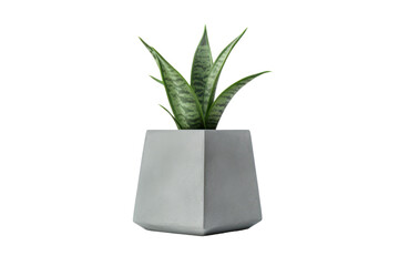 Small, geometric concrete plant pot with a smooth, light gray surface and clean lines, isolated on white background