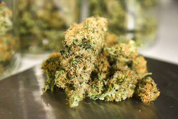 Studio, Marijuana drugs on digital scale, close up