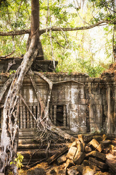 Cambodia, Angkor, Beng Mealea Temple